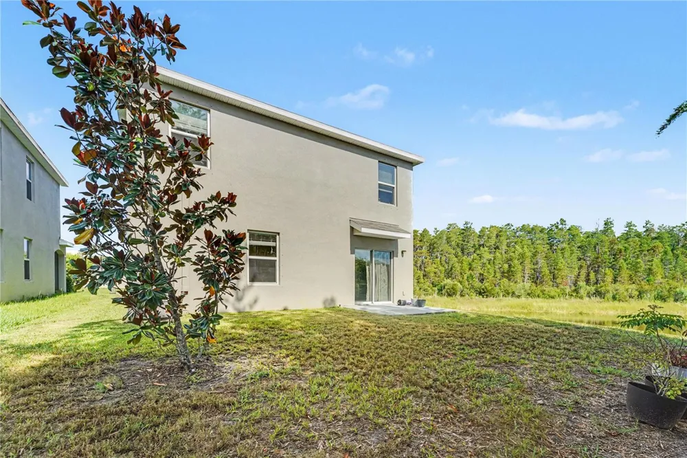 3446 SUNCOAST PLAINS DRIVE Odessa, FL 33556