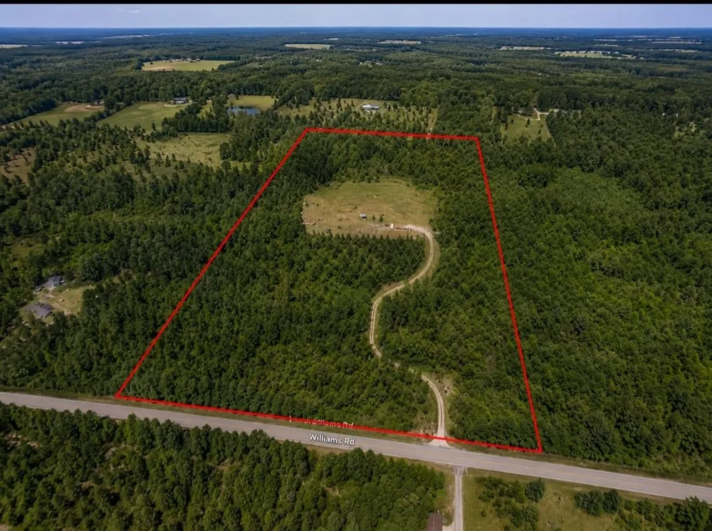 3780 Williams Greenwood Township, MI 49756