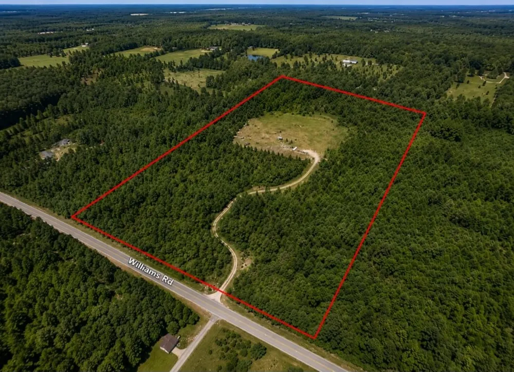 3780 Williams Greenwood Township, MI 49756