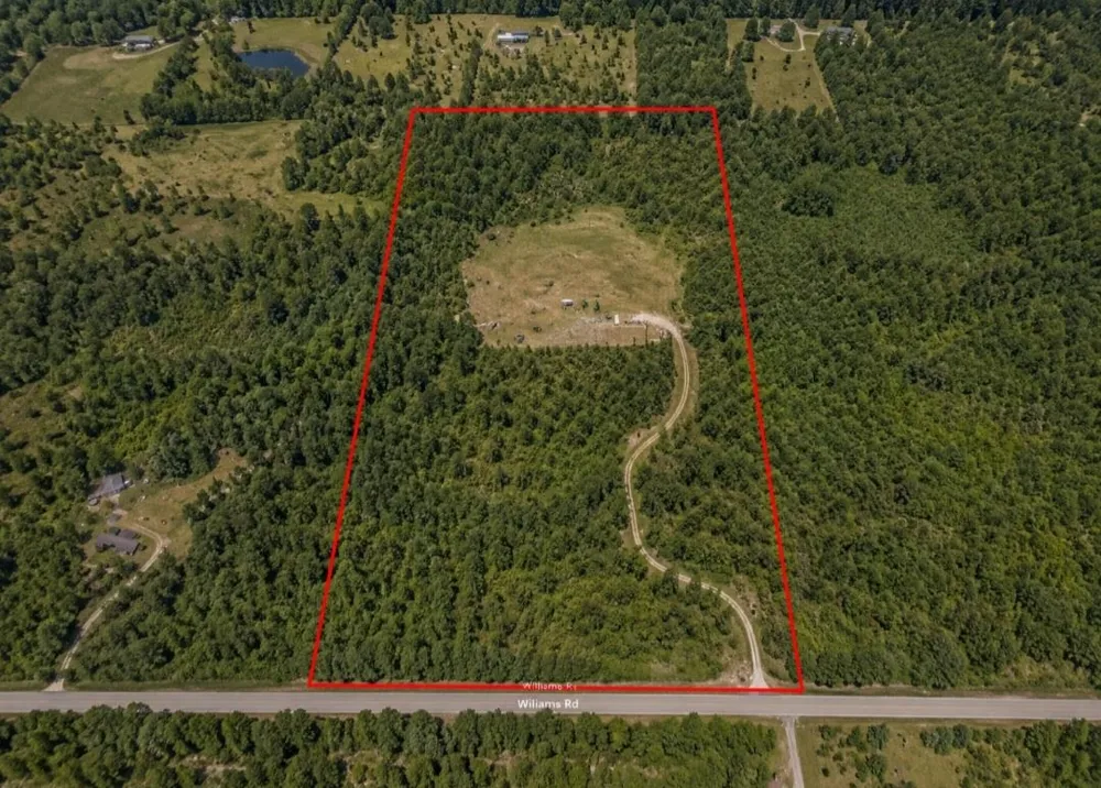 3780 Williams Greenwood Township, MI 49756
