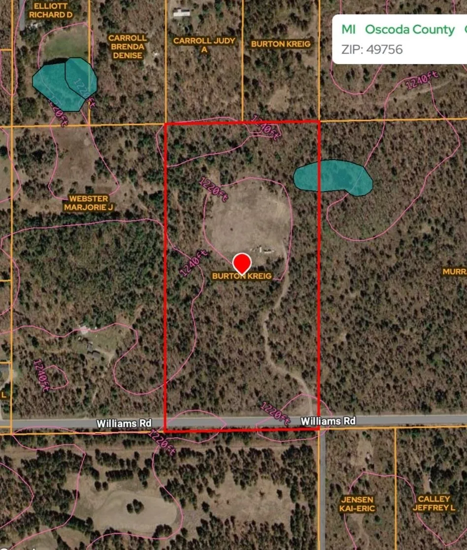3780 Williams Greenwood Township, MI 49756