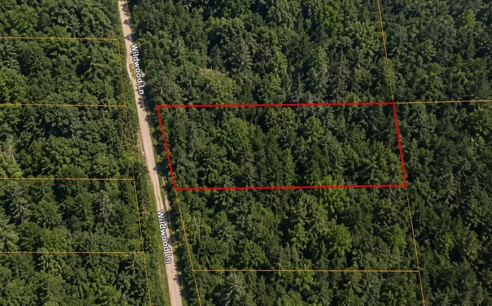 3576 Wildwood Lane Torch Lake Township, MI 49648