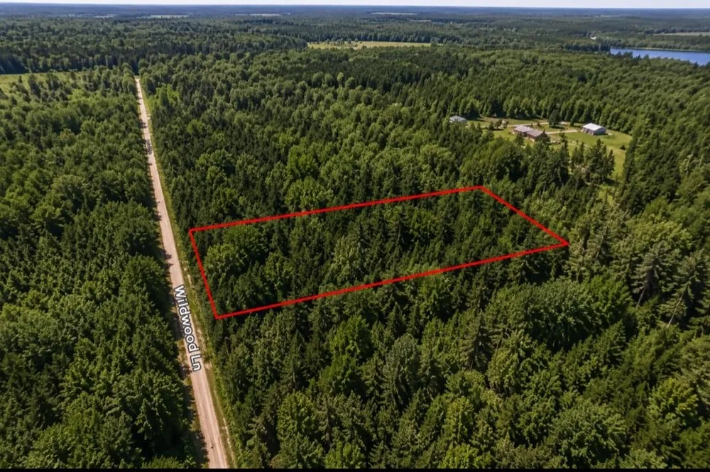 3576 Wildwood Lane Torch Lake Township, MI 49648