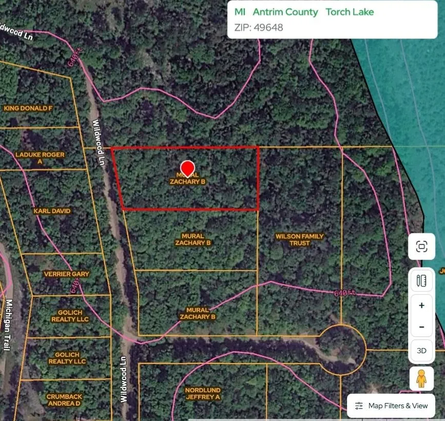 3576 Wildwood Lane Torch Lake Township, MI 49648