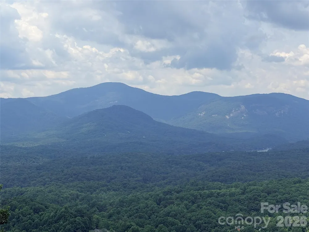0 Golden Ridge Drive #133 Lake Lure, NC 28746