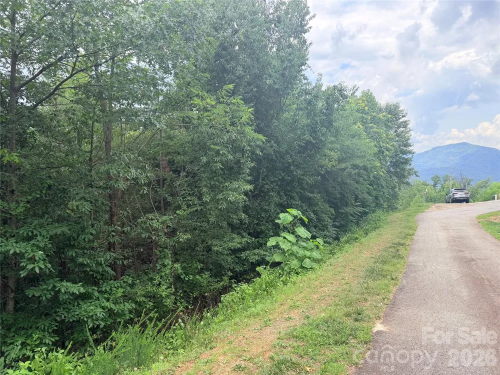 0 Golden Ridge Drive #133 Lake Lure, NC 28746