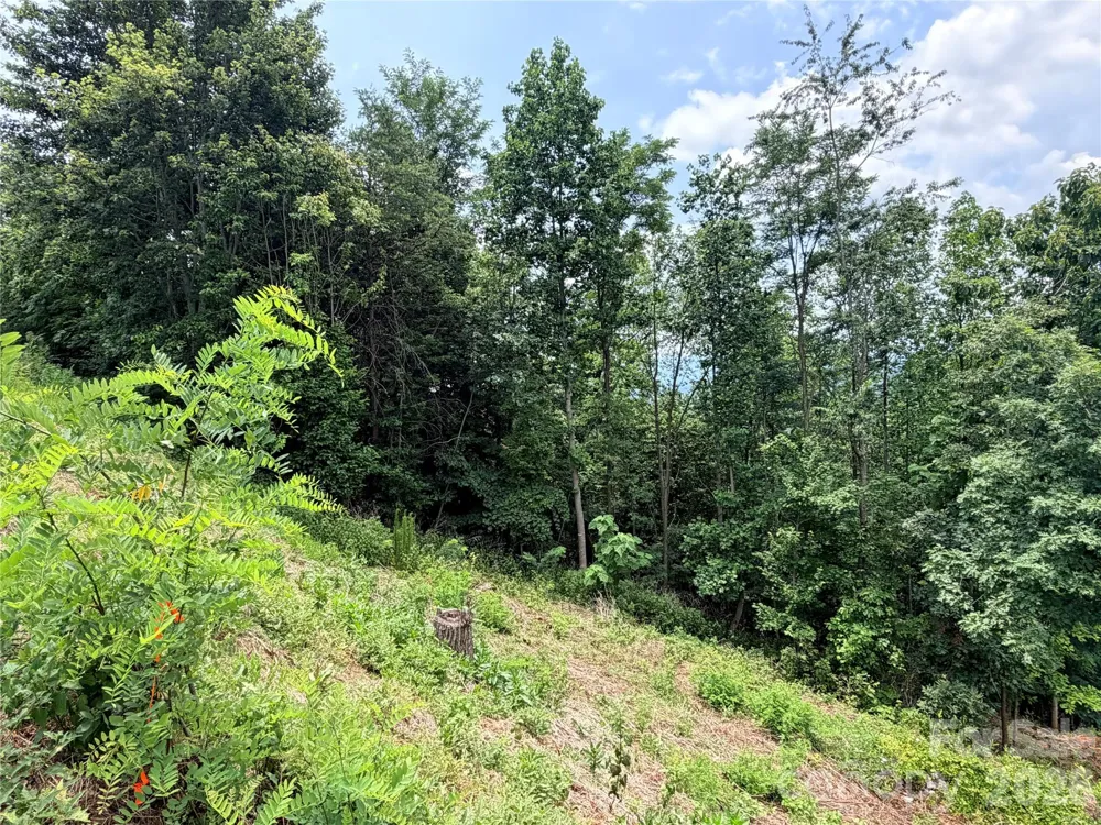 0 Golden Ridge Drive #133 Lake Lure, NC 28746