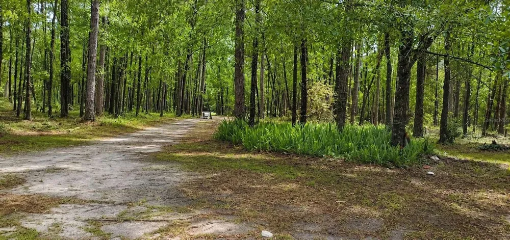 18864 HIGHWAY 329 Micanopy, FL 32667