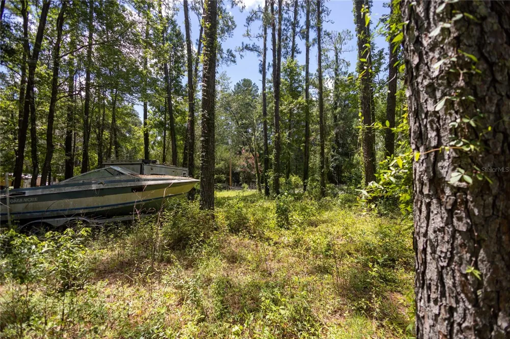 18864 HIGHWAY 329 Micanopy, FL 32667