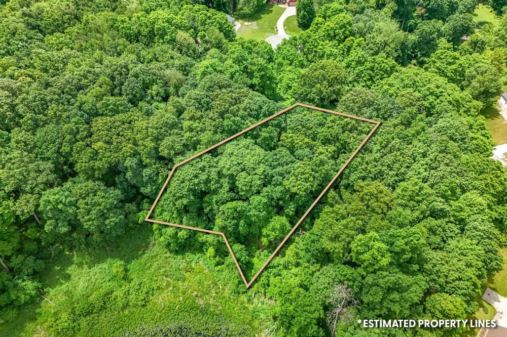 6117 Sweet Clover Hills Drive Jonesville, MI 49250