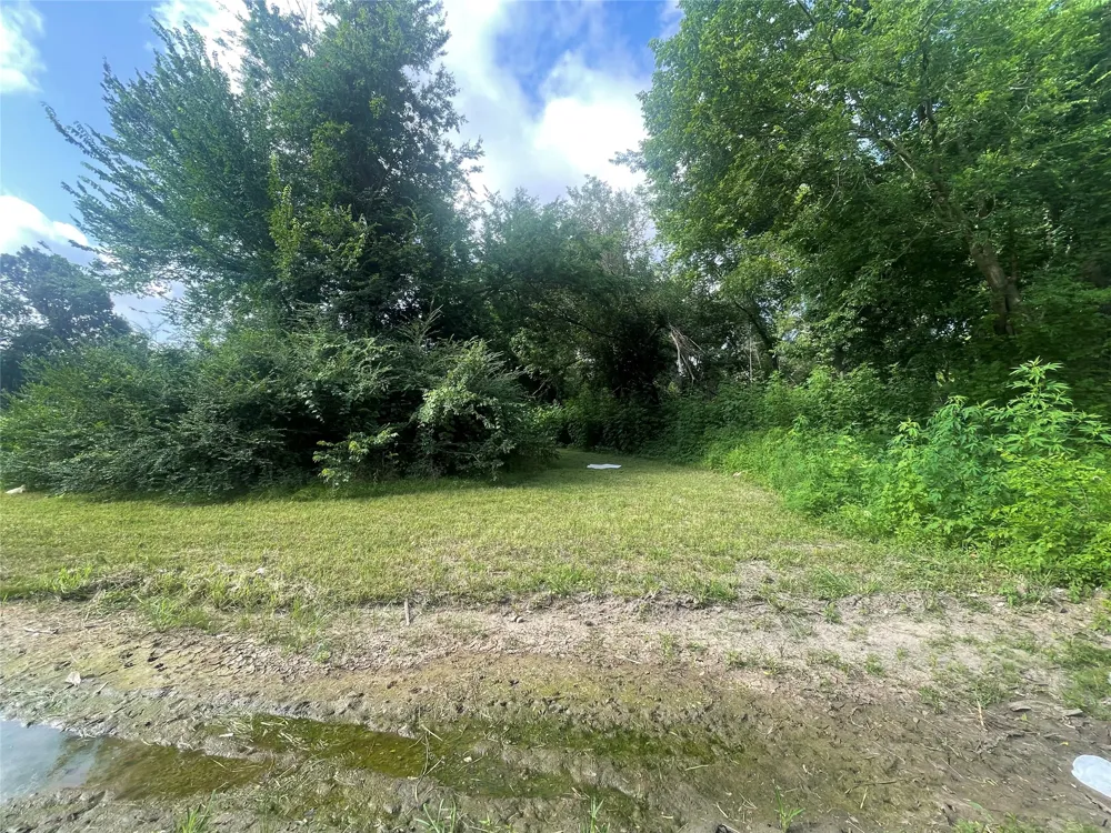 Maxwell Street Sulphur Springs, TX 75482