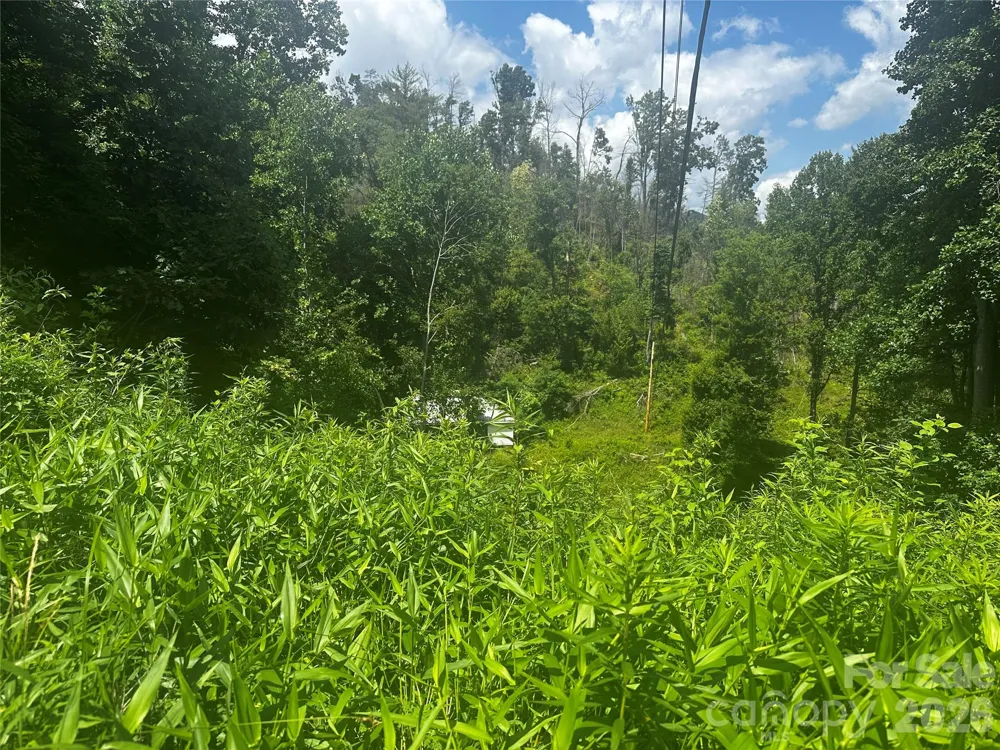 674 John Sparks Road Bakersville, NC 28705