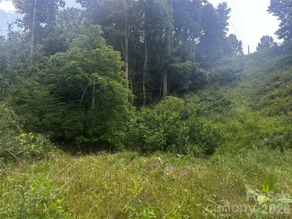 674 John Sparks Road Bakersville, NC 28705
