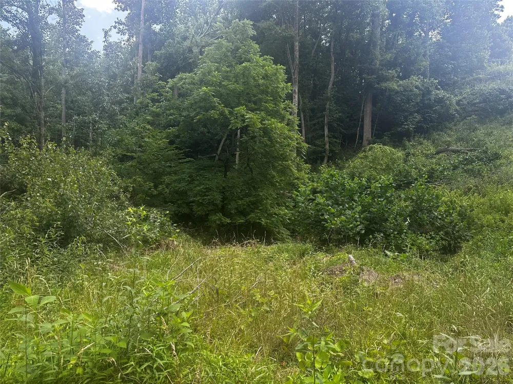 674 John Sparks Road Bakersville, NC 28705
