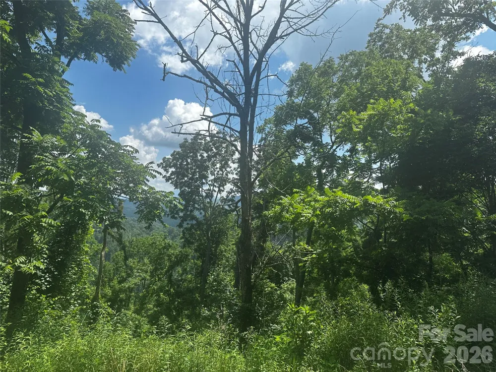 674 John Sparks Road Bakersville, NC 28705