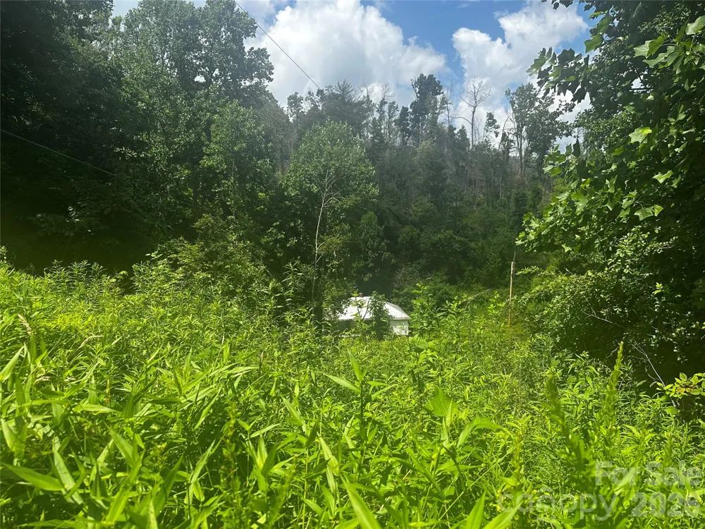 674 John Sparks Road Bakersville, NC 28705
