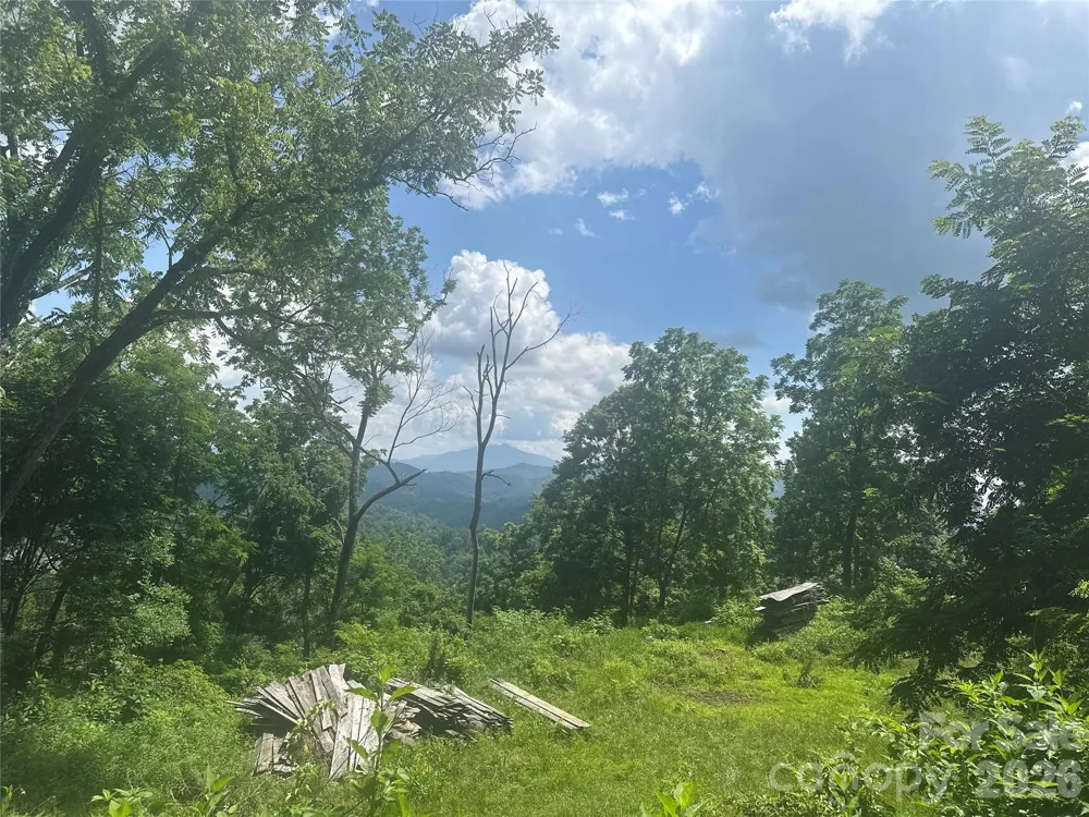 674 John Sparks Road Bakersville, NC 28705