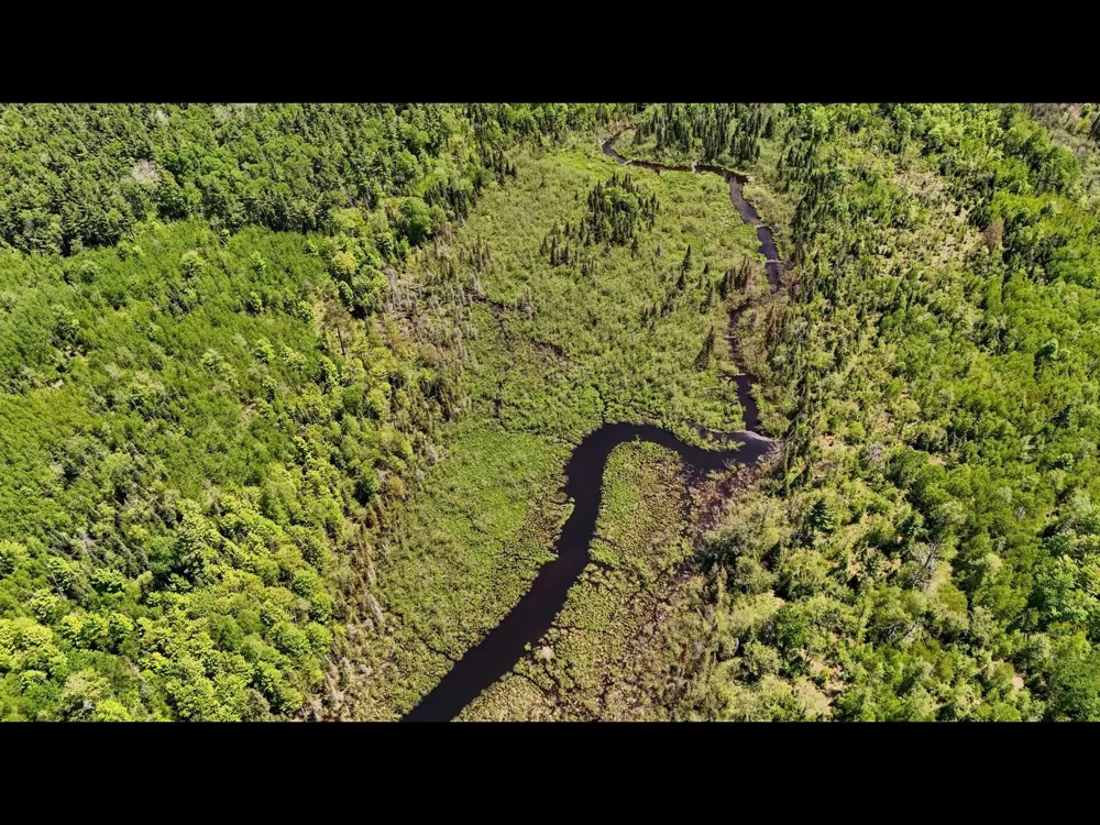 Federal Forest Highway 16 Iron River, MI 49935
