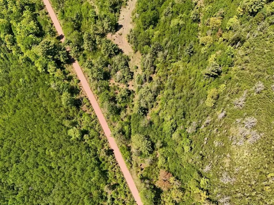Federal Forest Highway 16 Iron River, MI 49935