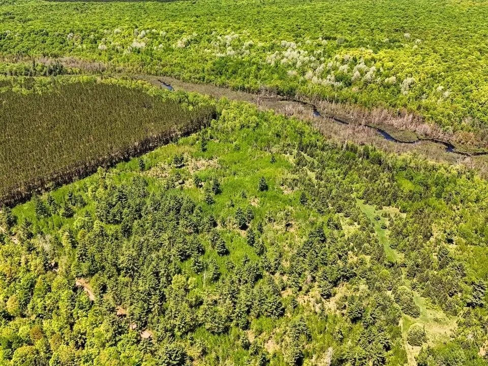Federal Forest Highway 16 Iron River, MI 49935
