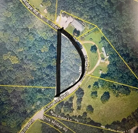 0 Lois Ridge
