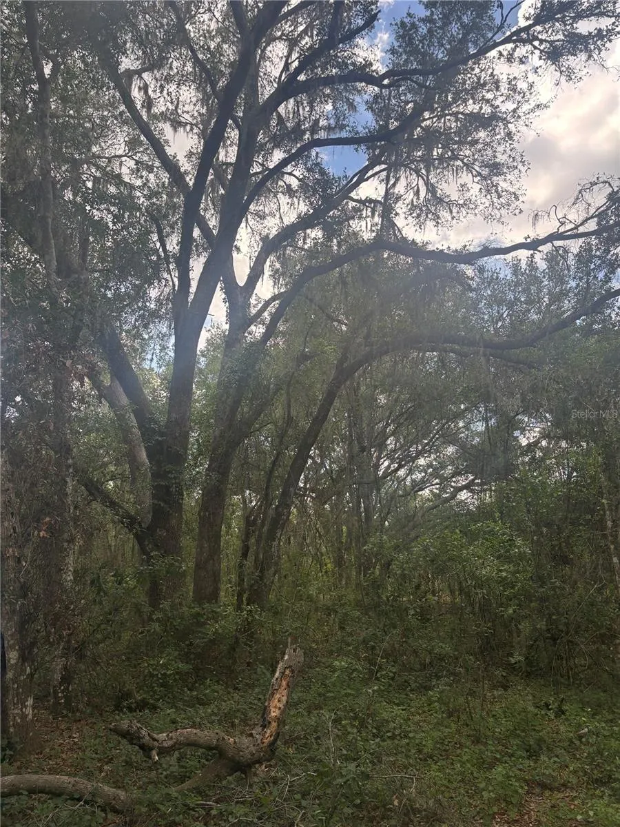 DEEPWELL DRIVE Brooksville, FL 34602