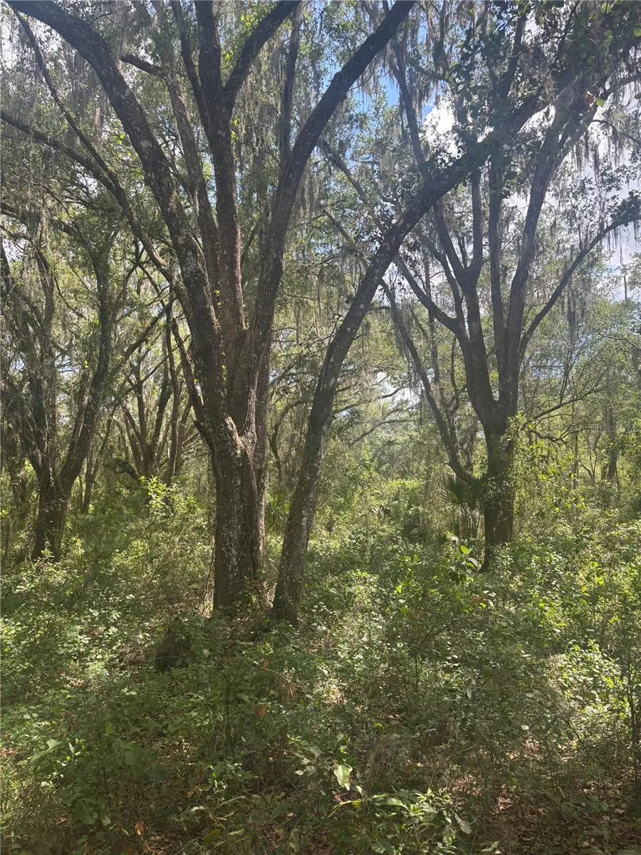 DEEPWELL DRIVE Brooksville, FL 34602