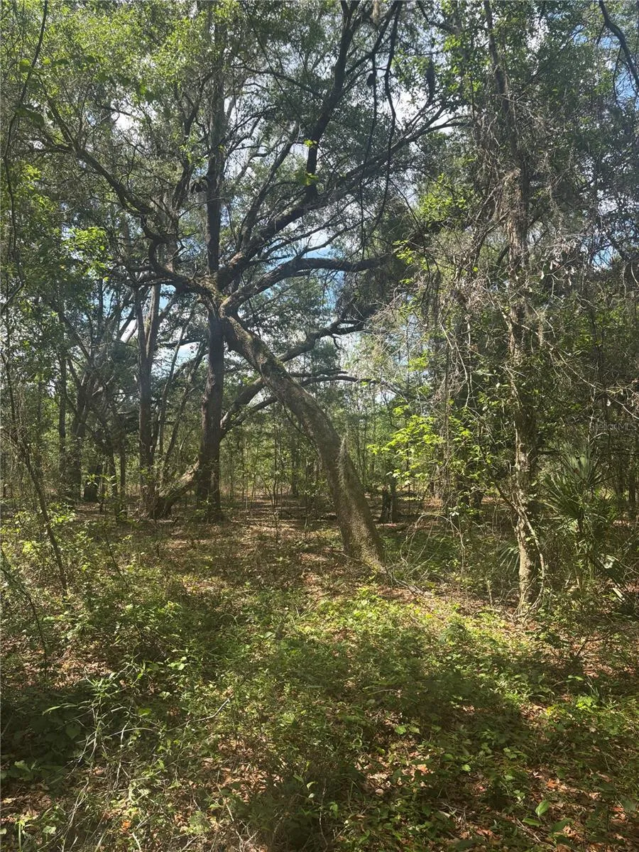 DEEPWELL DRIVE Brooksville, FL 34602