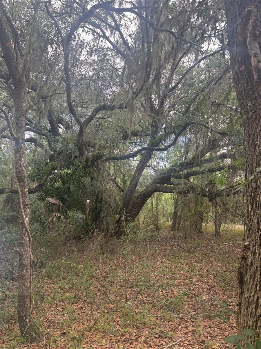 DEEPWELL DRIVE Brooksville, FL 34602