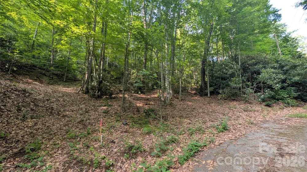 00 Chestnut Walk #3,4,5 Waynesville, NC 28786