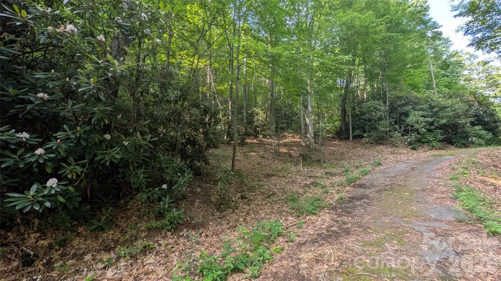 00 Chestnut Walk #3,4,5 Waynesville, NC 28786