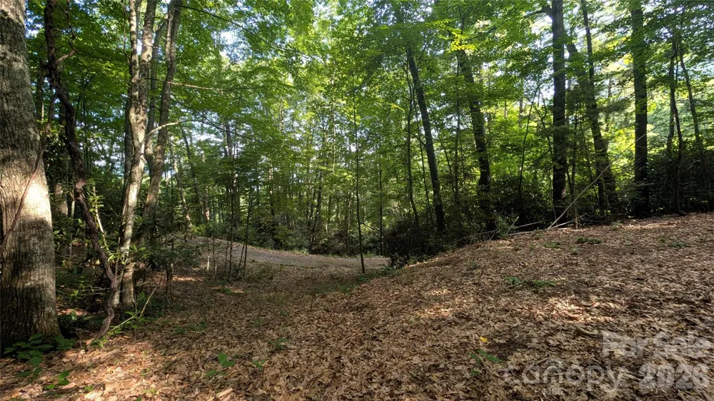00 Chestnut Walk #3,4,5 Waynesville, NC 28786