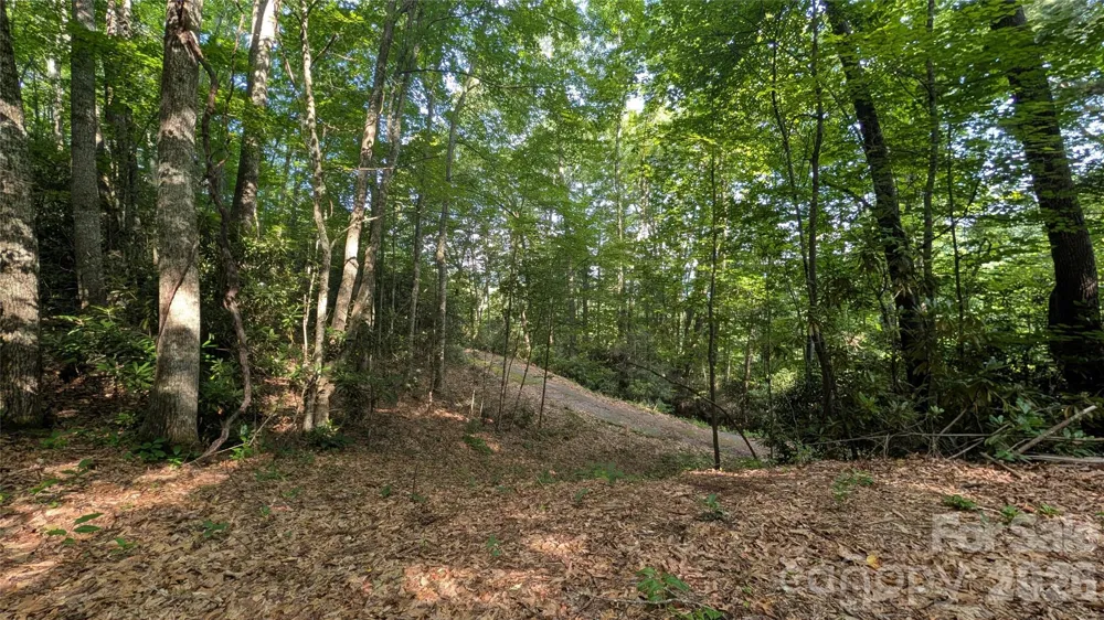 00 Chestnut Walk #3,4,5 Waynesville, NC 28786