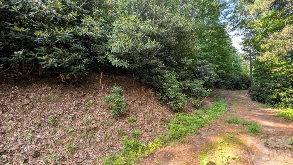 00 Chestnut Walk #3,4,5 Waynesville, NC 28786