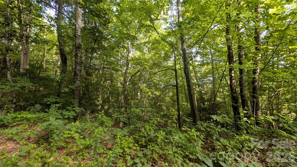 00 Chestnut Walk #3,4,5 Waynesville, NC 28786