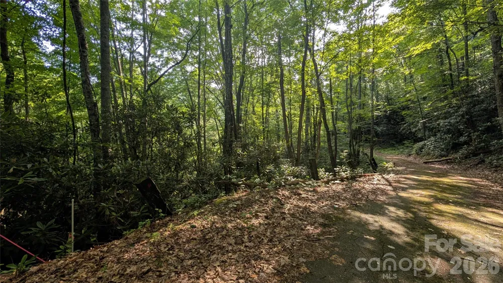 00 Chestnut Walk #3,4,5 Waynesville, NC 28786