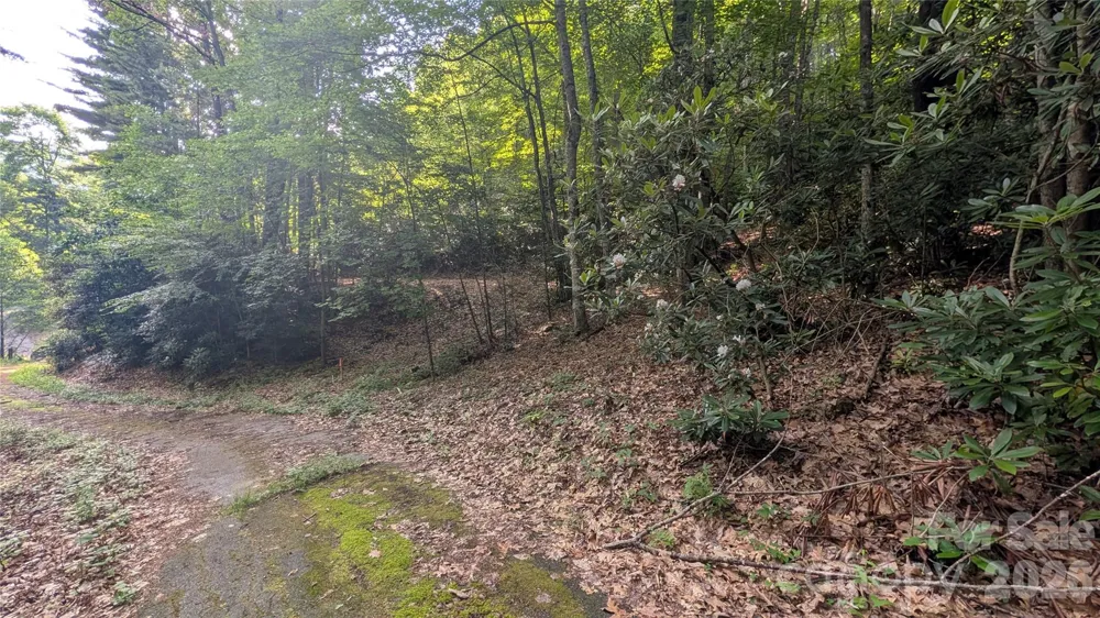 00 Chestnut Walk #3,4,5 Waynesville, NC 28786