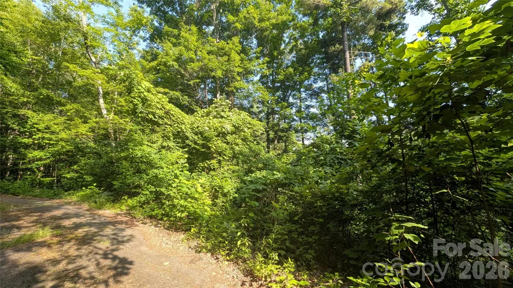 00 Chestnut Walk #3,4,5 Waynesville, NC 28786
