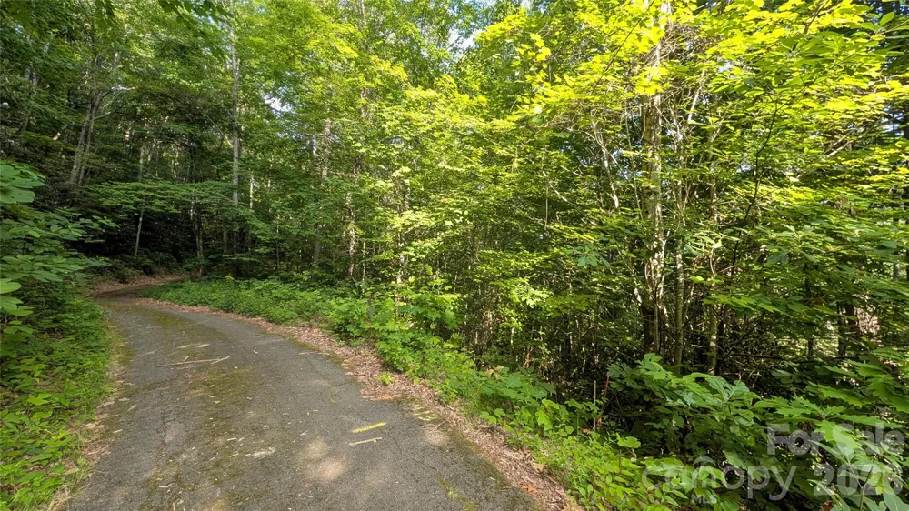00 Chestnut Walk #3,4,5 Waynesville, NC 28786
