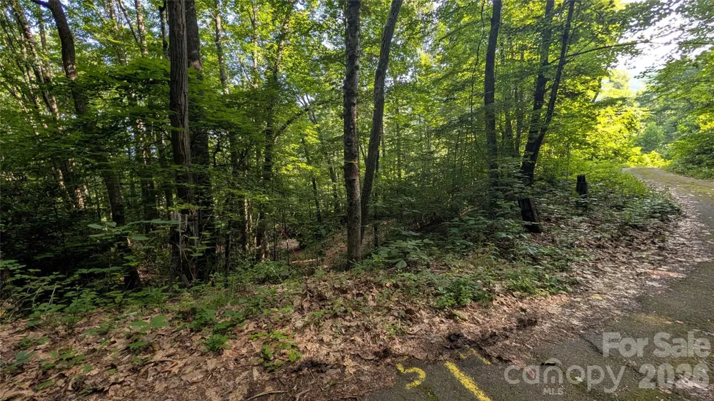 00 Chestnut Walk #3,4,5 Waynesville, NC 28786