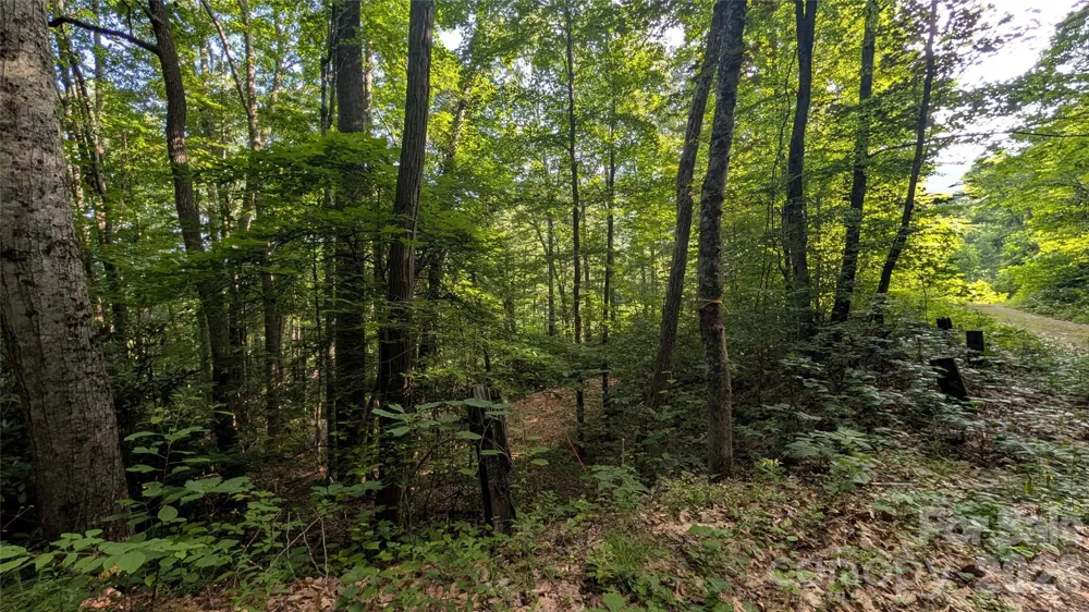 00 Chestnut Walk #3,4,5 Waynesville, NC 28786
