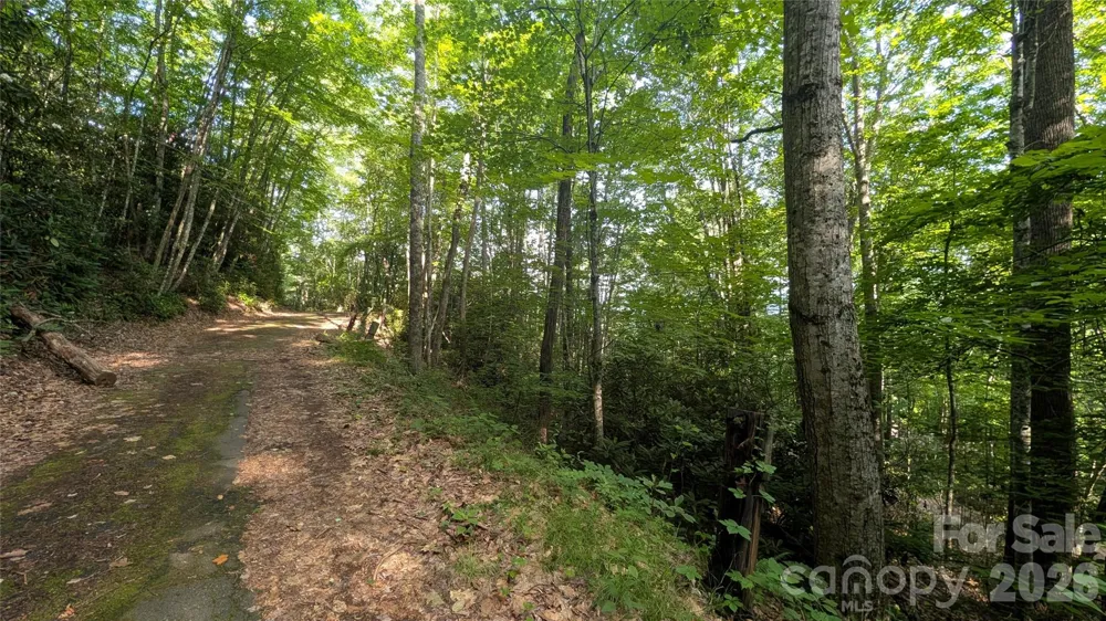 00 Chestnut Walk #3,4,5 Waynesville, NC 28786