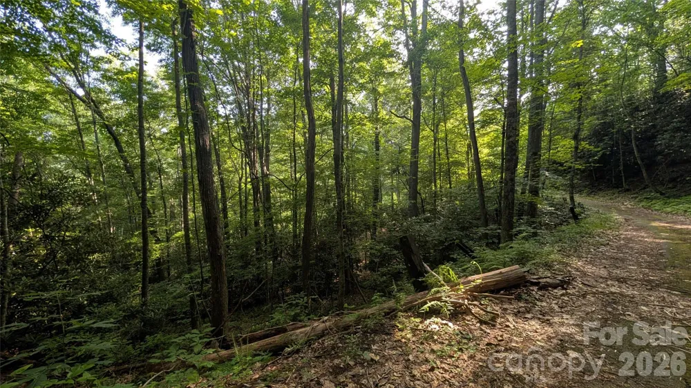 00 Chestnut Walk #3,4,5 Waynesville, NC 28786