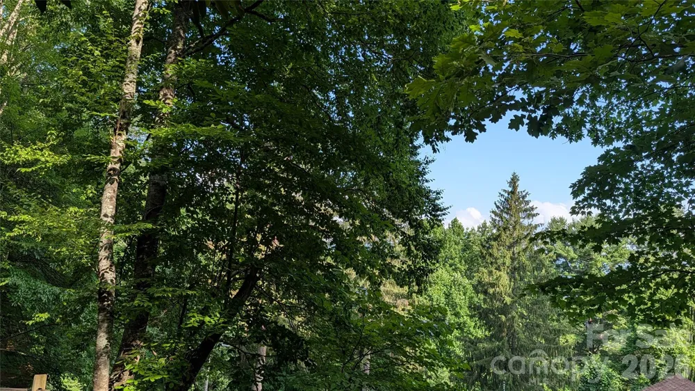 00 Chestnut Walk #6,7,8 Waynesville, NC 28786