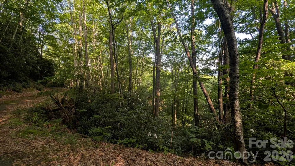 00 Chestnut Walk #6,7,8 Waynesville, NC 28786