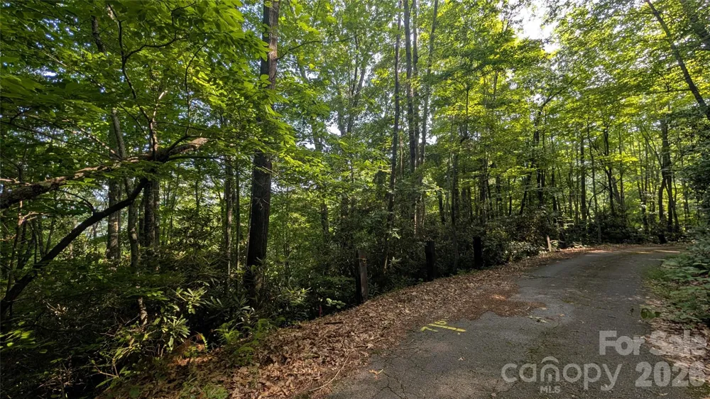 00 Chestnut Walk #6,7,8 Waynesville, NC 28786