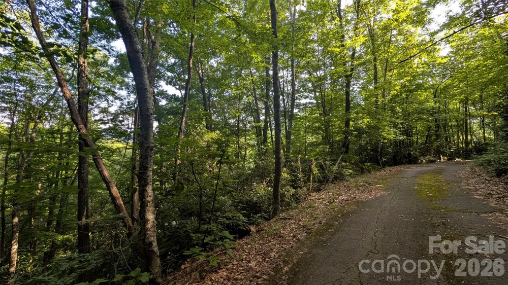 00 Chestnut Walk #6,7,8 Waynesville, NC 28786