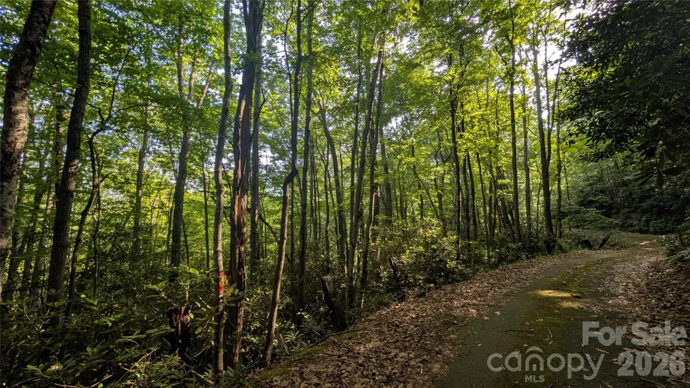 00 Chestnut Walk #6,7,8 Waynesville, NC 28786