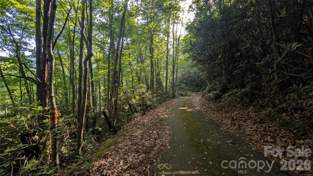 00 Chestnut Walk #6,7,8 Waynesville, NC 28786