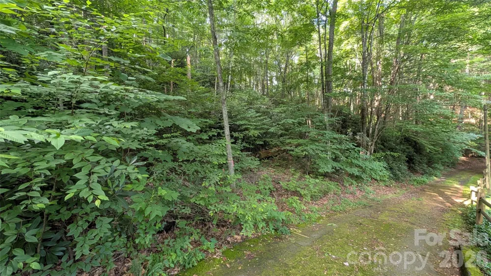 00 Chestnut Walk #6,7,8 Waynesville, NC 28786